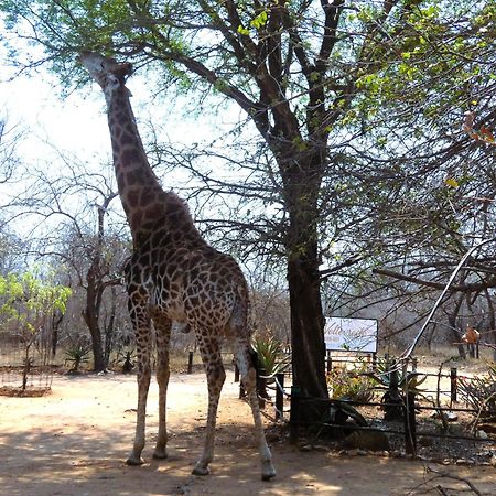 Weltevrede Lodge - Self Catering Houses Marloth Park Ngoại thất bức ảnh