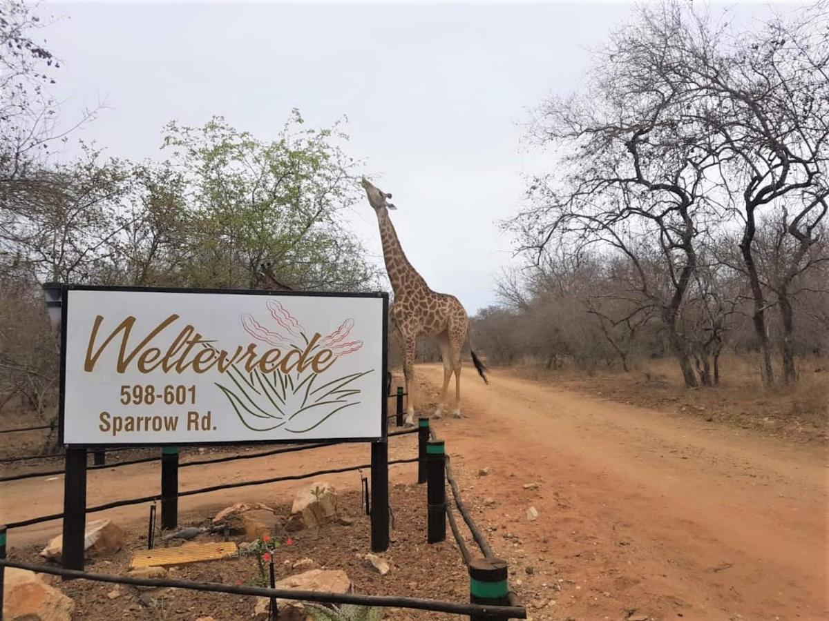 Weltevrede Lodge - Self Catering Houses Marloth Park Ngoại thất bức ảnh