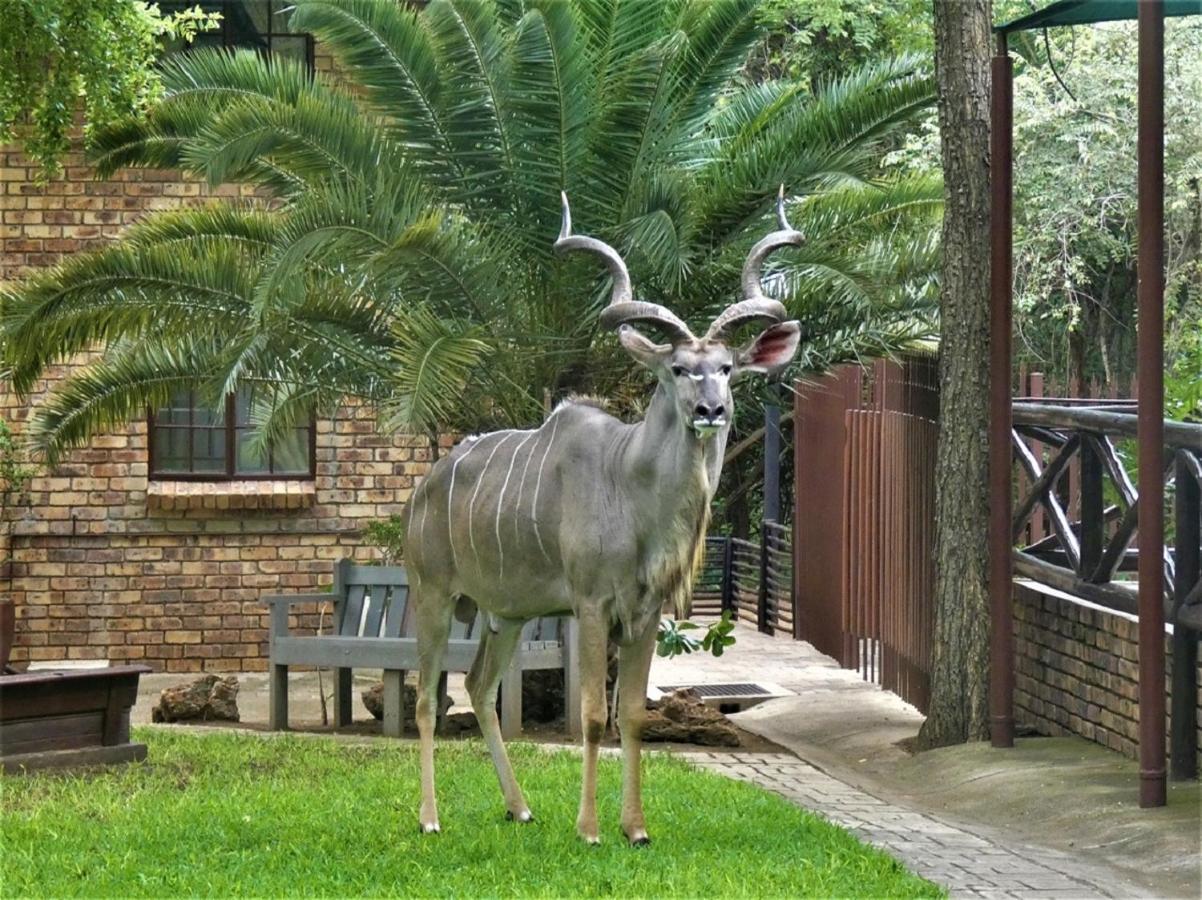 Weltevrede Lodge - Self Catering Houses Marloth Park Ngoại thất bức ảnh